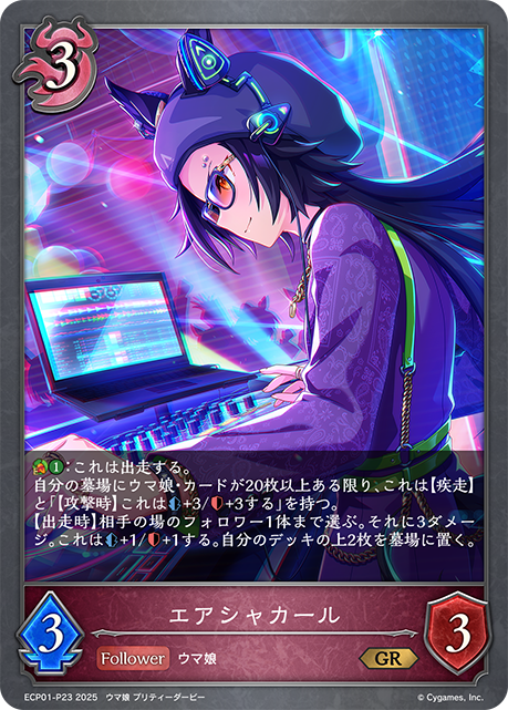 【状態B】エアシャカール(GRP)(ECP01-P23)